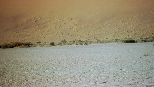 16-Namibia-2003.jpg