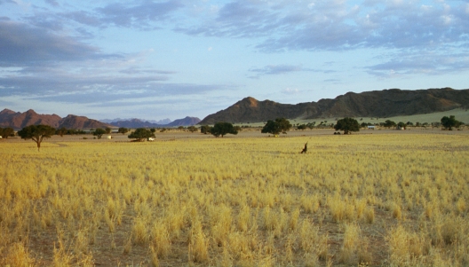46-Namibia-2003