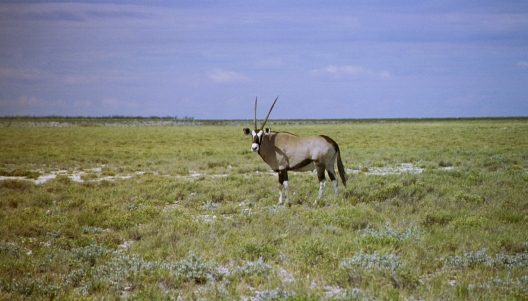 52-Namibia-2003