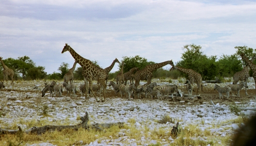 55-Namibia-2003
