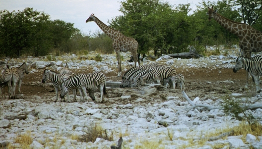 57-Namibia-2003.jpg