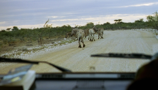 59-Namibia-2003