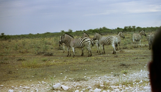60-Namibia-2003.jpg