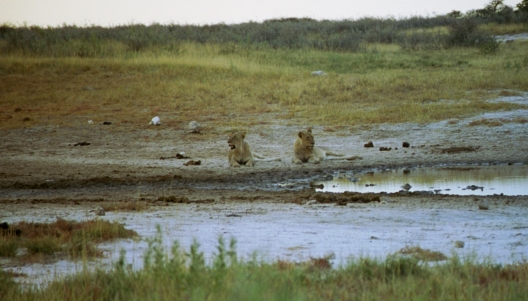 62-Namibia-2003