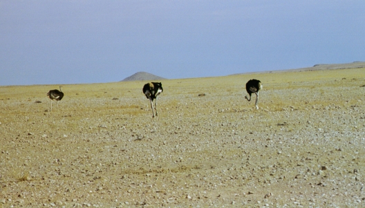 73-Namibia-2003