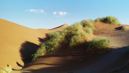 75-Namibia-2003.jpg