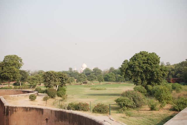 Agra-Fort 86