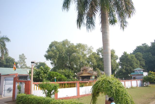 Sarnath 07