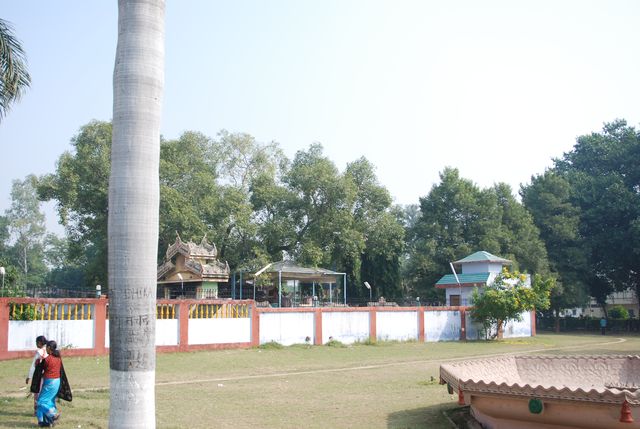 Sarnath 08