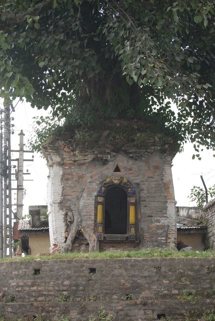 Boddanath-Stupa 38