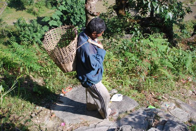 Wanderung um Pokhara 70