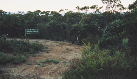 Kangaroo_Island59.JPG
