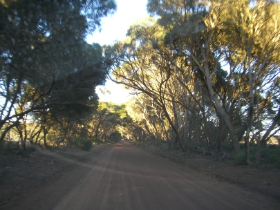 Kangaroo Island69
