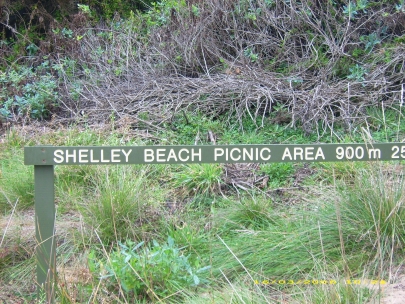 Shelly Beach016