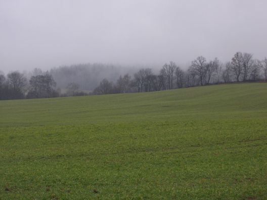 Weihnachts Spaziergang 25-12 nr 10