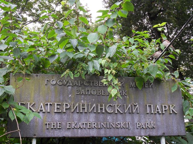 Katharinenpark 59